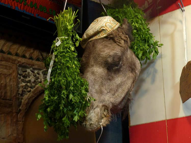 Camel head with herbs hanging in the open air market.