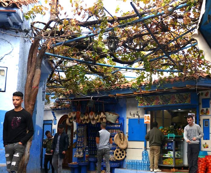 Shopping in the Medina.