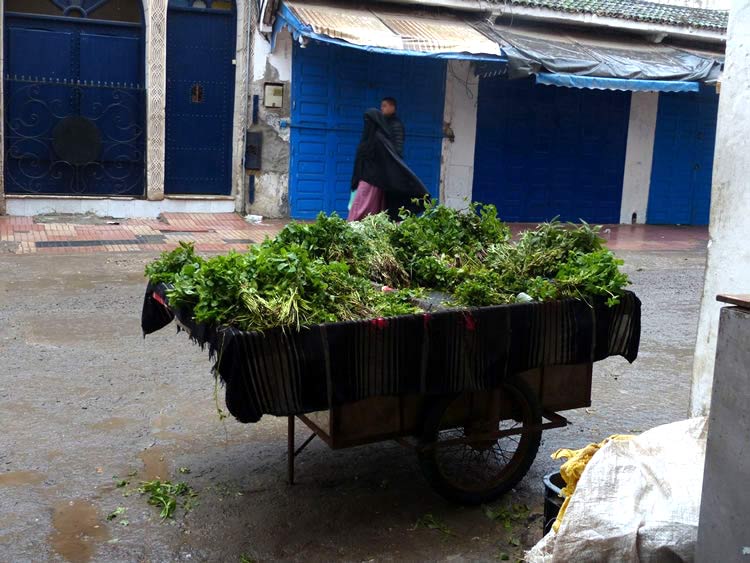 Fresh herbs and greens sitting on an open air wagon in the city street.