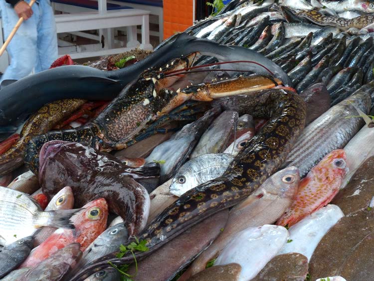 A table full of fish and seafood.