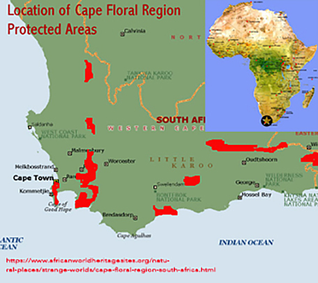 Map of the Cape floral region.