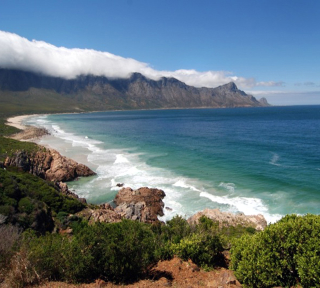 Cape Flora Coastline, Southern Africa