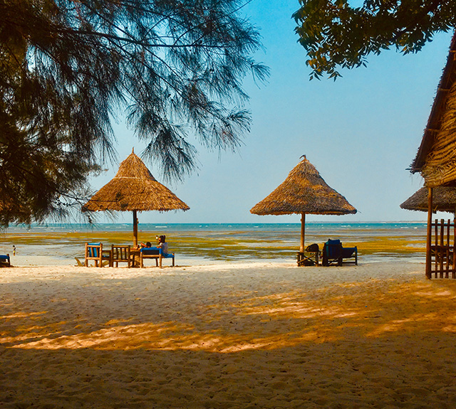 Southern Africa brown beach huts on seashore