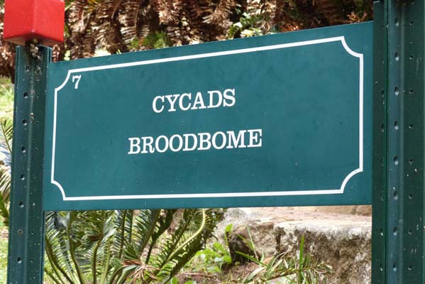 Sign saying Cyad Broodbome.