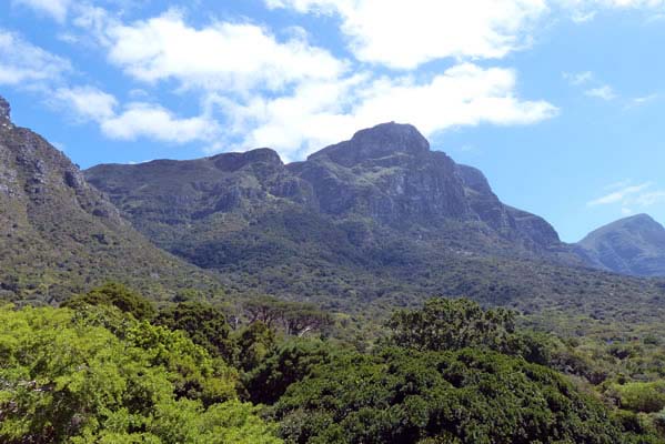 Sunny photo of Cape Flora landscape.