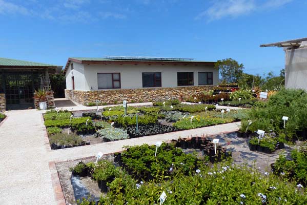 Garden Nursery area.