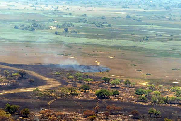 Smokey fires in flight over camp Chitabe land.