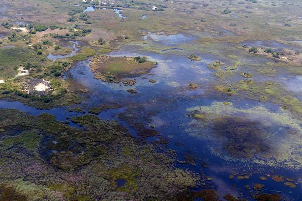 Bird's eye view of the land around Chitabe Lediba Camp.