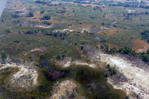 Air view of the land around Chitabe Camp.