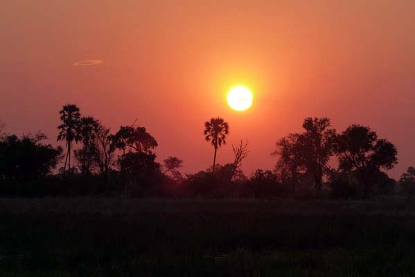 Red glowing sunrise at Chitabe Camp.