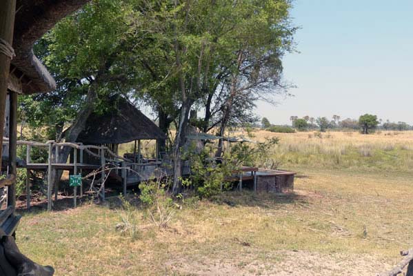 Wilderness near Chitable Camp with small trees around the grass.