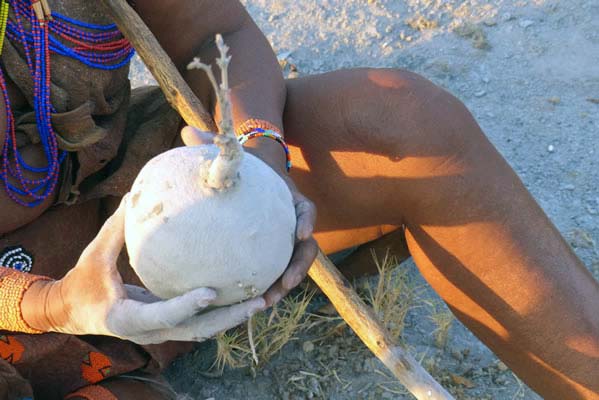 Tribal member holding a large white vegetable.