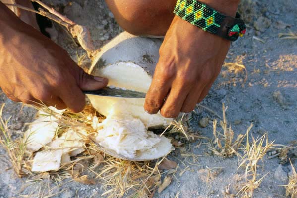 close-up of a hand cutting the vegetable.