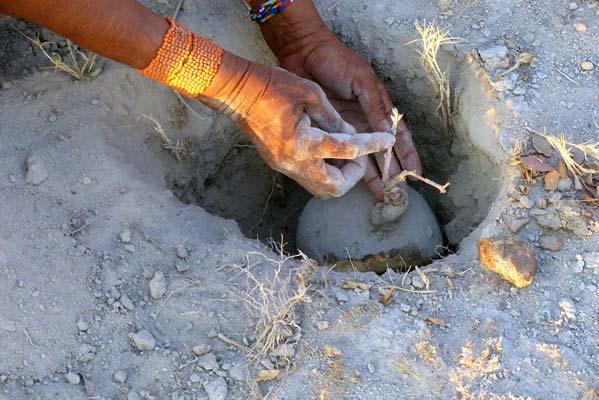 A dusty hand holding a root vegetable.