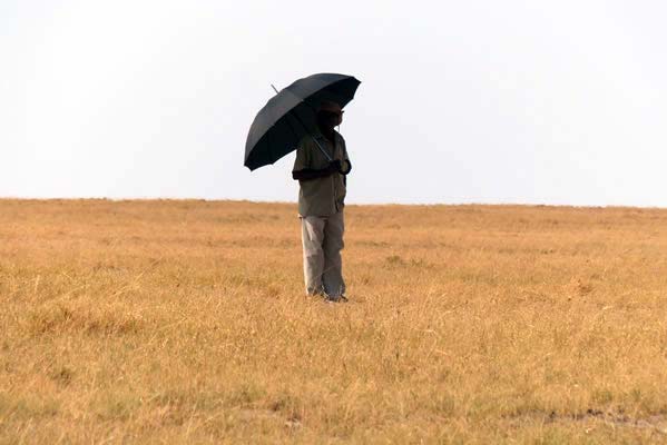 A woman standing in the savanna with an umbrella over her head to block the sun.