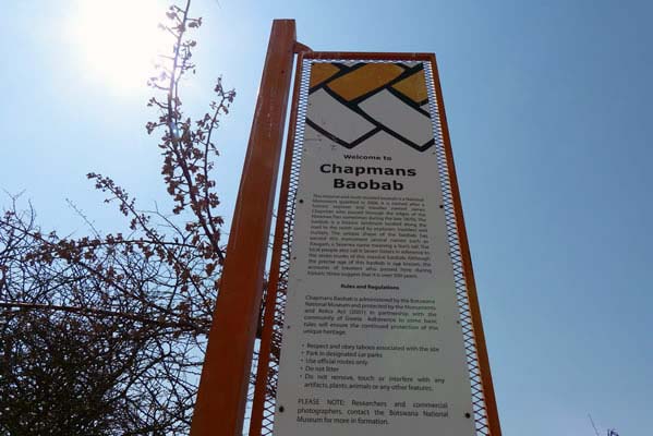 Sign with information about Chapmans Baobab.