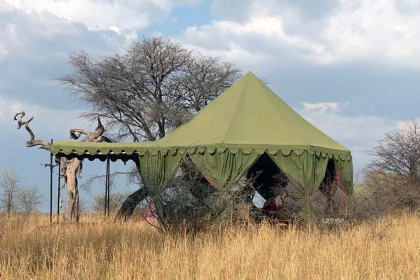 Green tent on the savanna.