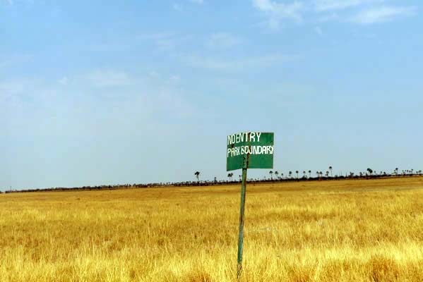 Wide open savanna grasses with a green sign with white letters saying- No entry, Park Boundary.