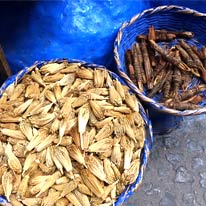 A large bowl of spice pods