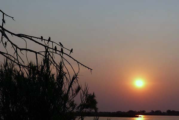 Sun glowing in a red African sky.