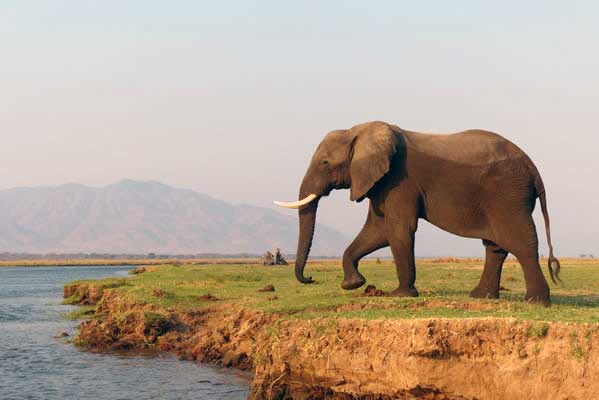 Safari Banquet with Southern African delicacies.