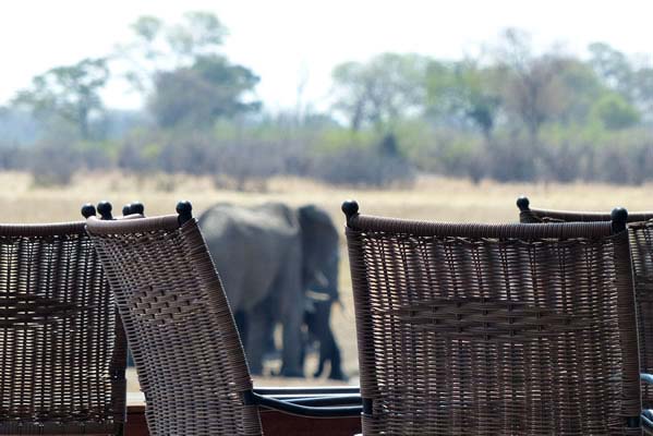 Wicker chairs with elephants in the distance.