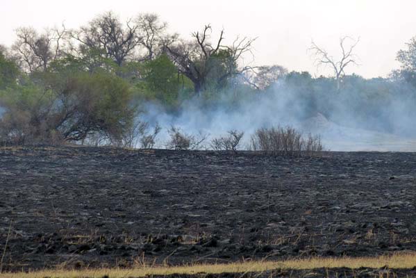 The seasonal fires of Savuti with smoke in the distance.