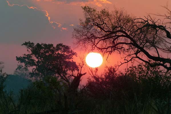 Beautiful sunrise at Savuti Camp with a golden sun and red sky.