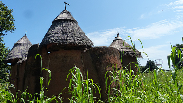 Village houses with palm straw roofs.