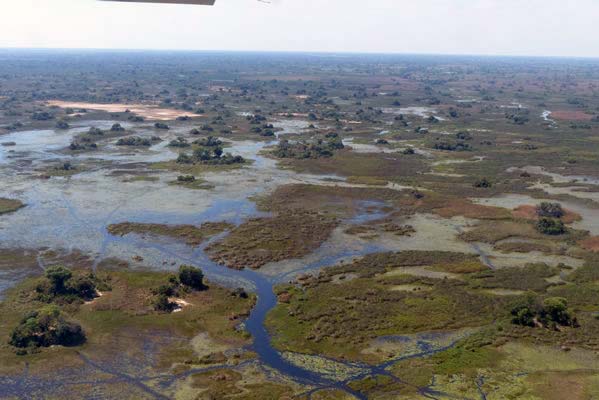 Flight over Tubu Tree Camp.