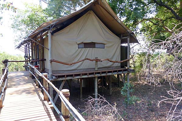 The tent cabin at Tubu Tree Camp.