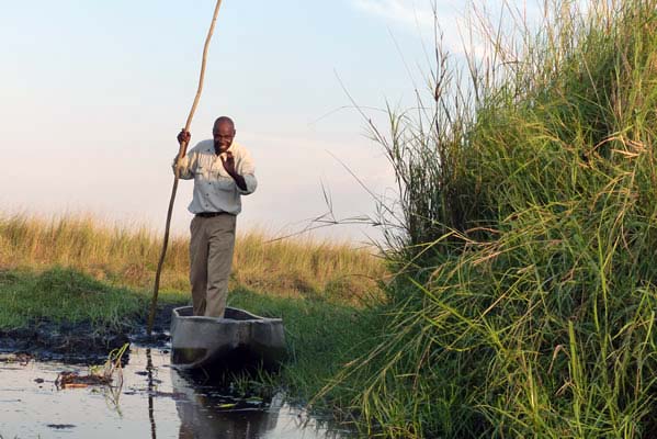 An African man in a boat with marsh and grassland around.