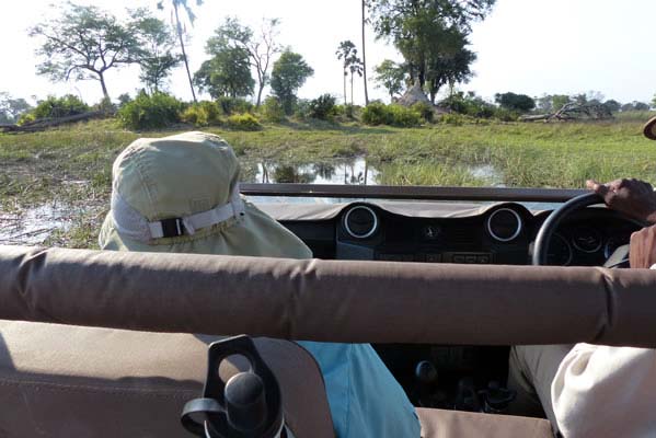 Going on safari from the view of the jeep. 