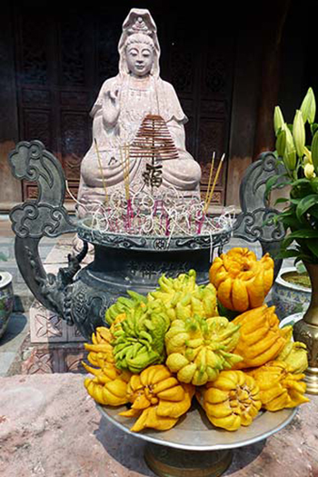 An offering of fruit at the One Pillar Pagoda